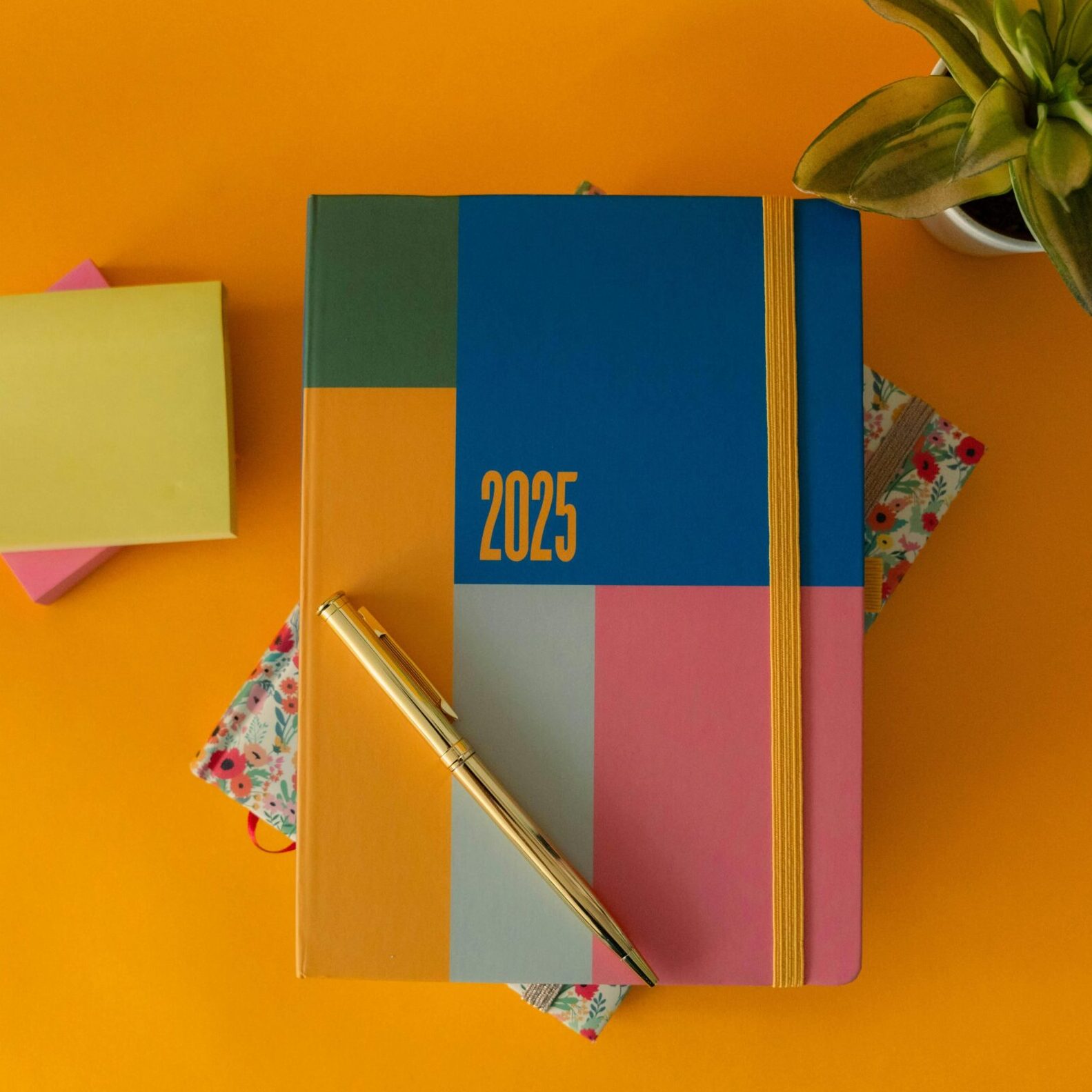 Mid-Year Financial Check-In — Are You on Track for 2025 Goals?